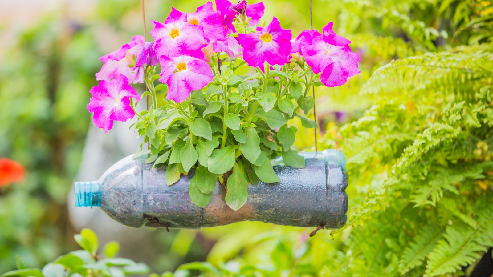 Cómo reciclar botellas de plástico para una vida más eco-friendly