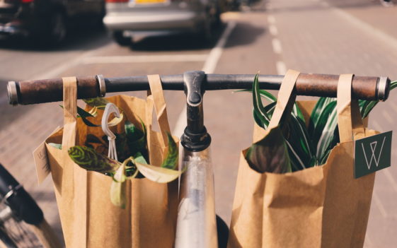 Bicicleta con plantas